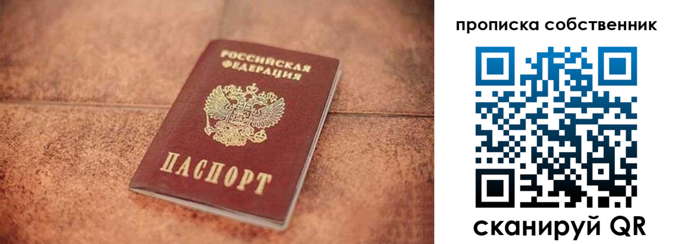 где прописаться в Кировске